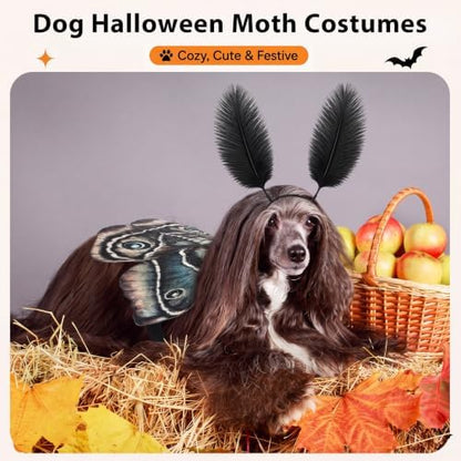 Tallew 2 Pcs Dog Halloween Costumes Moth Butterfly Wings,M,Tan - Image 4