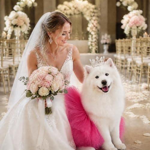 Pet Costume Set Tutu Skirt with Pearl Crown for Small Dog Cat Halloween Birthday Wedding Photo Prop Costume (Rose Red) - Image 6