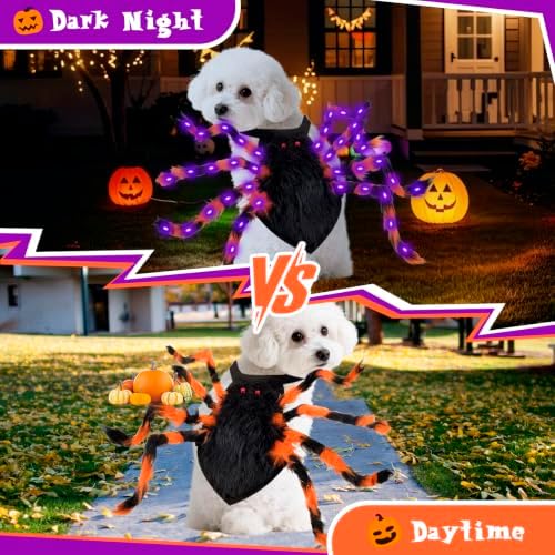 Halloween Spider Costume for Small Dog - Glowing Funny Cats Pet Costumes - Image 2