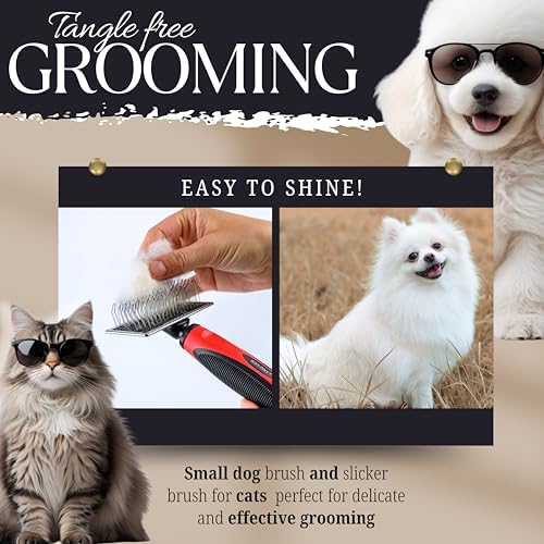 Mini Brush for Dogs and Cats - Coated Tips Massage Skin - Long Pins Remove Mats, Tangles in Long and Poodle Fur - Image 4