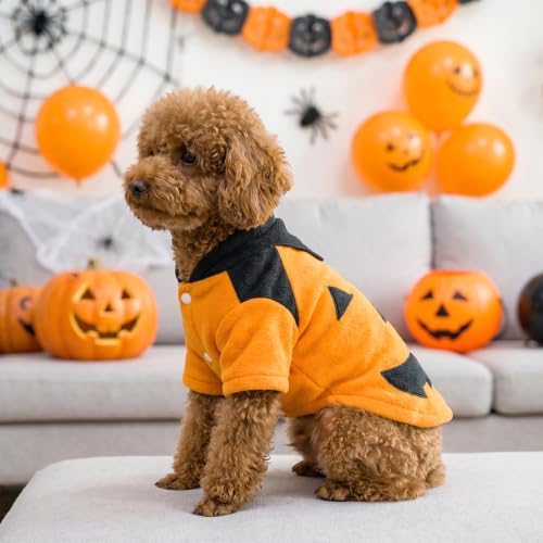 Halloween Funny Dog Pumpkin Costume for Small Dogs Halloween Outfit (S) - Image 4