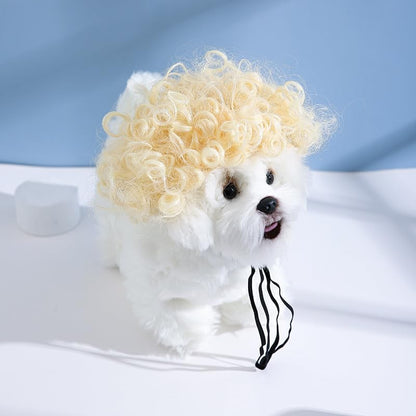 Spa Day Dog Costume Cosplay Wig, Curly Hair Pet Cat Wigs for Halloween Parties Dog Hats Wigs for Small Medium and Large Dogs Adjustable(Pet Head Circumference 6-27 inches) by AnHome