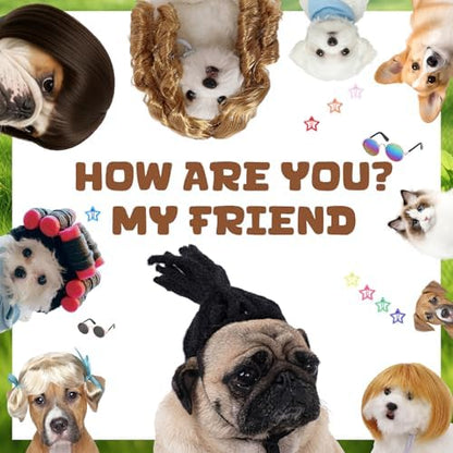 6 Pcs Funny Cat and Dog Wigs with Hairpin Glasses, Stylish - Image 6