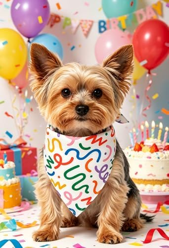 3-Piece Small Dog Happy Birthday Boy Shirt, Colorful, M - Image 4