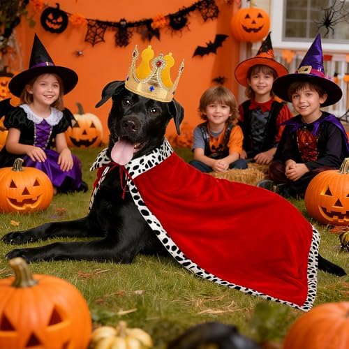 King Dog Costume, Crown & Cape Set, Prince Dog Costume for Large Dogs - Image 6