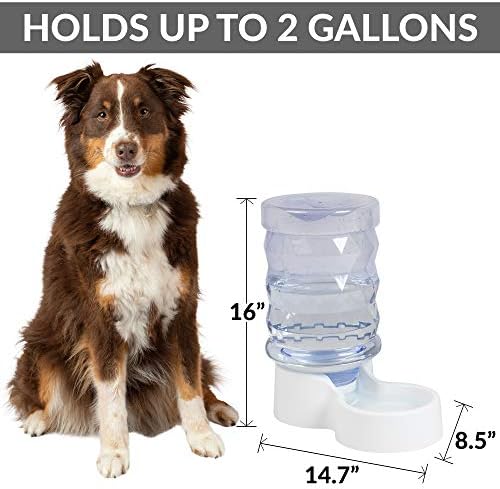 PetFusion H2O Gravity Pet Water Dispenser, 2.5 Gallon, Transparent