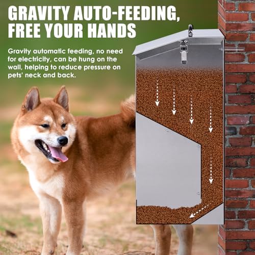 Automatic Dog Feeder Large Breed Outdoor, Stainless Steel Material