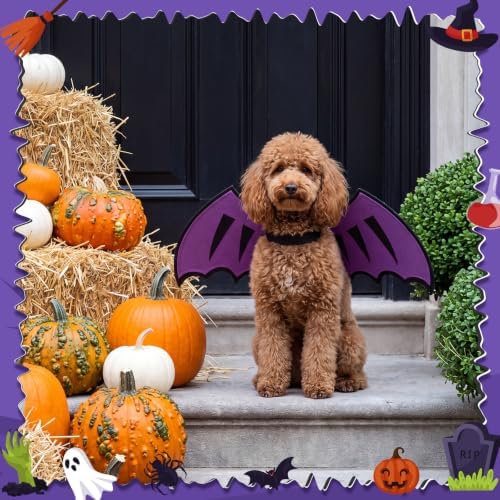 Dog Dragon Wings, Halloween Dragon Costume for Dog Cat, Purple, M - Image 5