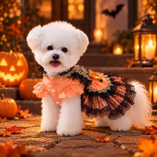 Halloween Dog Dress for Small Dogs Girl, Gothic Pumpkin Princess Puppy Costume with Orange Black Lace Mesh Skirt, Cute Halloween Pet Outfit for Photos(XXL) - Image 7