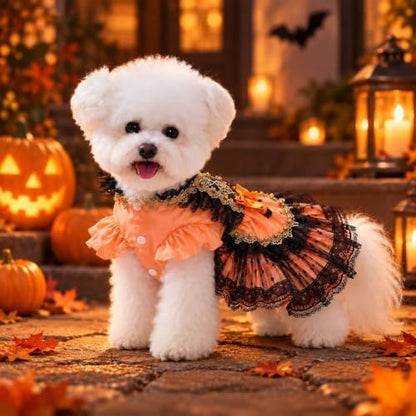 Halloween Dog Dress for Small Dogs Girl, Gothic Pumpkin Princess Puppy Costume with Orange Black Lace Mesh Skirt, Cute Halloween Pet Outfit for Photos(XXL) - Image 7