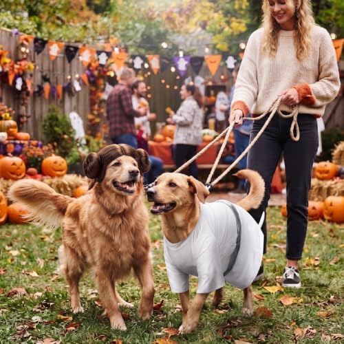 Dansydaisy 2 Pcs Halloween Pet Costume, Princess Outfit, Large - Image 5