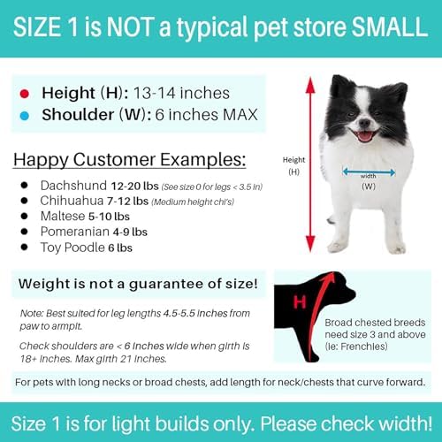 Pandaloon Dog Halloween Costume - As Seen on Shark Tank - Patented - Funny Costume with Arms for Small and Medium Dogs and Cats (Teddy Bear, Size 1(13-14 in Height at TOP of Head,Girth<16 in)) - Image 4