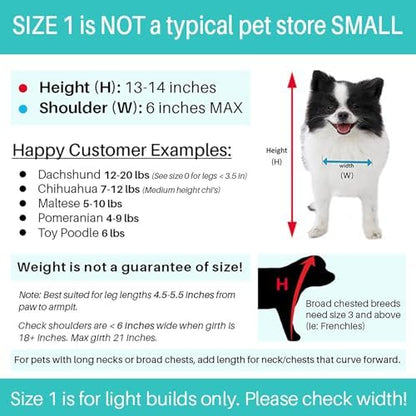 Pandaloon Dog Halloween Costume - As Seen on Shark Tank - Patented - Funny Costume with Arms for Small and Medium Dogs and Cats (Teddy Bear, Size 1(13-14 in Height at TOP of Head,Girth<16 in)) - Image 4