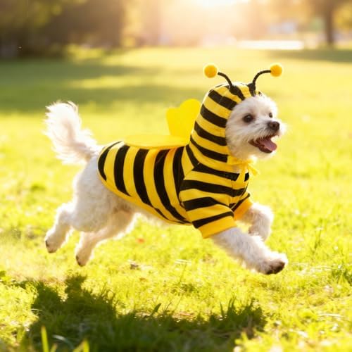 Idepet Halloween Pet Bee Costume,Dog Hoodie Bumble Cosplay Puppy Clothes - Image 2