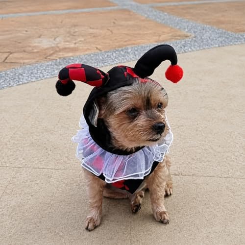 Court Jester Pet Halloween Costume with Hood - Small to Medium-Large Breed Funny Clothes Outfit Apparel (Small) - Image 3