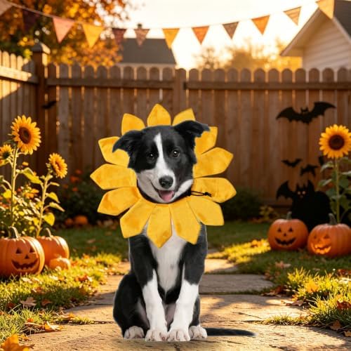 Dog Halloween Costumes, Sunflower Dog Costume Adjustable Sunflower Collar for Small Medium Large X-Large Dogs Pets (Small) - Image 6