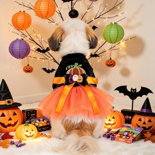 Dog Halloween Costume - Pumpkin Tutu Dress for Small Dogs & Puppies, Cute Holiday Pet Apparel with Bowtie, Fall Party Outfit L-Pumpkin Large - Image 6
