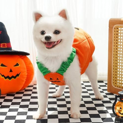 ANIAC Dog Pumpkin Costume Halloween Cat Pumpkin Outfit Funny Puppy Clothes for Small Dogs Pet Party Cosplay Accessories (Orange Clohes, Large) - Image 5