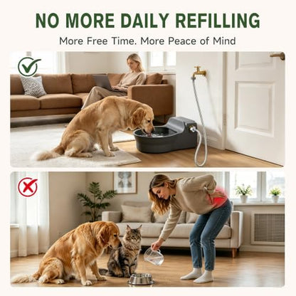 Automatic Dog Water Dispenser, Auto Fill Dog Water Bowl Dispenser