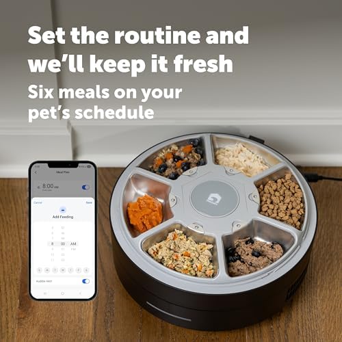 PetSafe FreshFeed Refrigerated Automatic Wet Food Feeder, 6 Meals, Black
