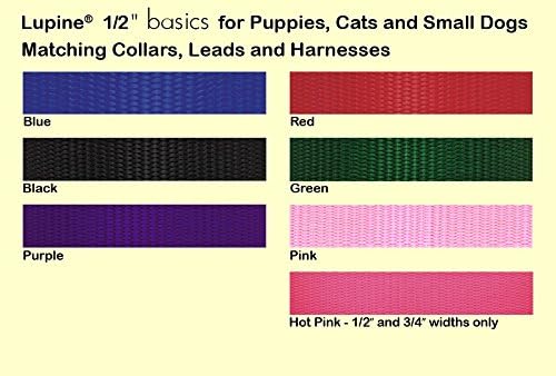 LupinePet Basics 1/2" Green 10-16" Adjustable Collar for Small Dogs