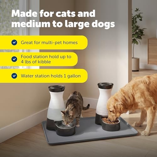 PetSafe Healthy Pet Food & Water Station, Medium, 4 lb Food, 128 oz Water