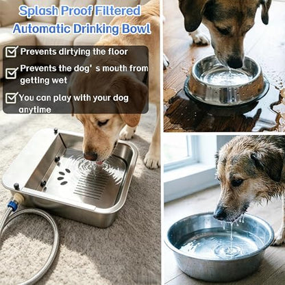 Automatic Water Dispenser for Dogs Slow-Drink,Splash-Proof Design
