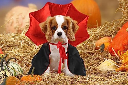 Estivaux Pet Halloween Costumes Dogs Cats Halloween Vampire Pets Costume Cape Black Red Witch Stand-up Collar Cape Cat Puppy Cosplay Clothes Apparel for Pets Dress Up Accessories Halloween Party Decor - Image 4