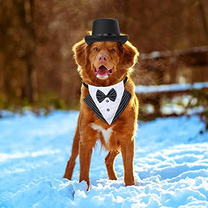 Yewong 2 Pieces Pet Formal Accessories Set - Pet Top Hat with Formal Pet Tuxedo Bandana Collar Birthday Party Gradation Halloween Costumes Accessories for Dog Cat (Set-A) One Size - Image 6