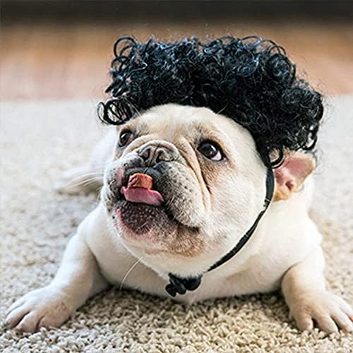 HOWWFALY Dog Costume Cat Apparel Dog Toys Curly Braids Headgear Wigs Styling Cute Funny Pet Hair Accessories Decoration for Halloween, Christmas, Parties (Black) by HOWWFALY