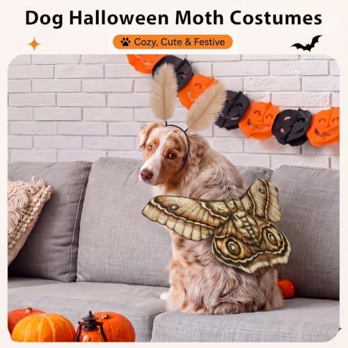 Tallew 2 Pcs Dog Halloween Costumes Moth Butterfly Wings,M,Grayish White - Image 6