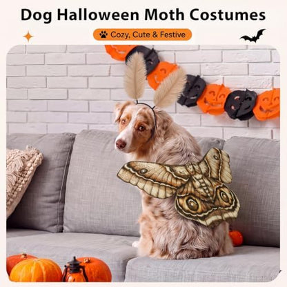 Tallew 2 Pcs Dog Halloween Costumes Moth Butterfly Wings,M,Grayish White - Image 6