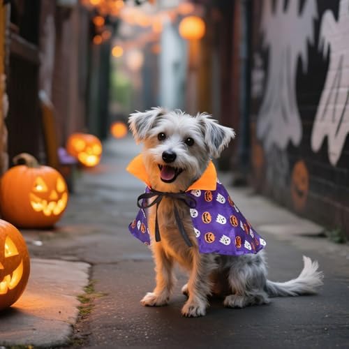 NAMSAN Pet Wizard Costume for Cats Small Dogs Rabbits, Halloween Cat Witch Cape, Stand-Up Small Dog Vampire Cloak, Halloween Pumpkin Cat Outfit for Holiday Party Cosplay Statue Decoration - Image 2