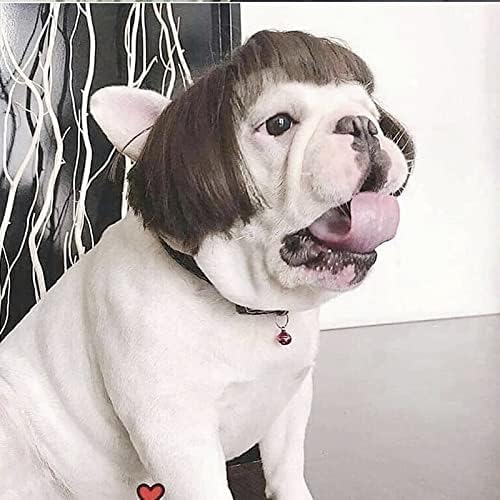 Funny Dog Cat Cosplay Wig,Pet Wigs for Halloween, Christmas, Parties, Festivals, Dog Wigs for Small Medium and Large Dogs （Black Brown Straight） - Image 2