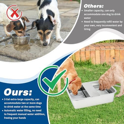 BWOGUE 3 Gal Automatic Dog Water Dispenser, Stainless Steel Bowl for Dogs