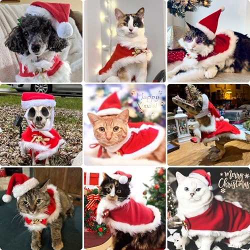 Cat Christmas Hat with Cloak, Small Dog Santa Costume, Pet Christmas Costume Suit for Cats Puppy Rabbits Doll, Santa Claus Set, Red S - Image 2