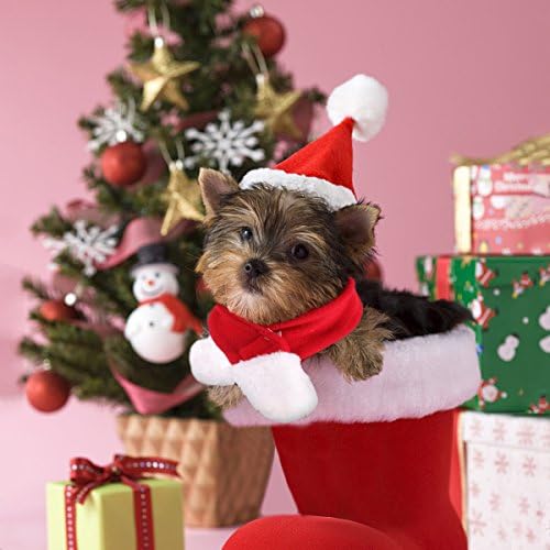 NAMSAN Pet Christmas Costume for Cats Small Dogs Rabbits, Santa Cat Hat with Red Scarf, Small Dog Xmas Hat Scarves, Red Christmas Cat Outfit for Holiday Party Cosplay Statue Decoration - Image 6