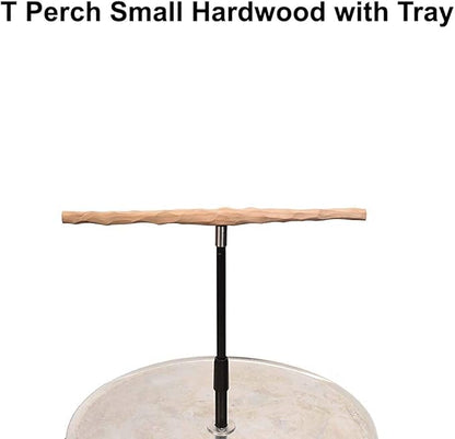 Parrot Training Perch Stand with Potty Tray (T Perch Hardwood, Small)