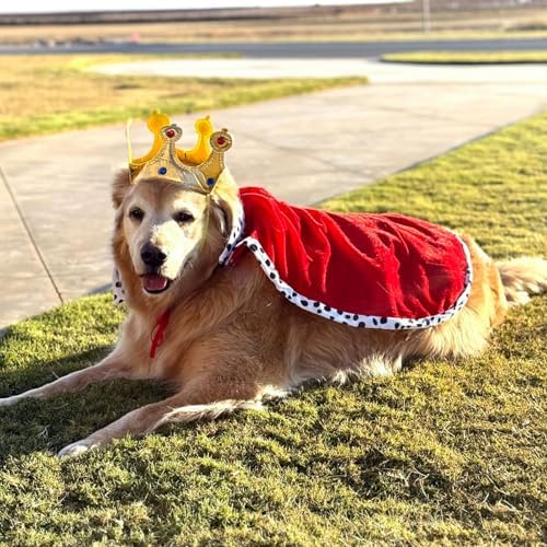 Dog King Cloak Costume, Halloween Dog King Costume, Adjustable Funny Pet Kings Cloak and Crown, Pet King Costumes for Halloween Christmas Cosplay King Cloak Cape for Dogs Cats (Medium) - Image 4