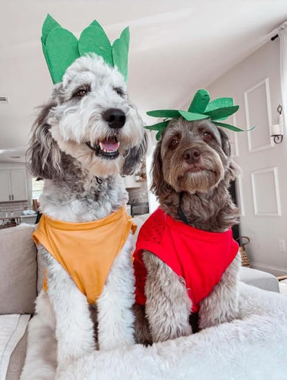Midlee Strawberry Dog Halloween Costume (Medium) - Image 6