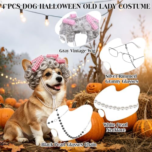 EXPAWLORER 4 Pcs Dog Halloween Old Lady Costume, Funny Pet Grandma Outfit with Adjustable Curler Wig, Pearl Necklace, Glasses and Chain, Ideal for Halloween, Christmas, Cosplay & Pet Birthday Parties - Image 4