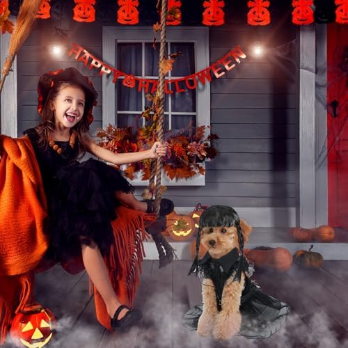 Coume 3 Pcs Halloween Dog Costumes for Dog with Belt and Wig, M - Image 5