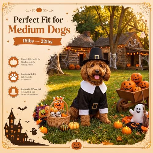 Hillban Dog Thanksgiving Pilgrim Costume, Dog Pilgrim Hat Collar Costume - Image 4