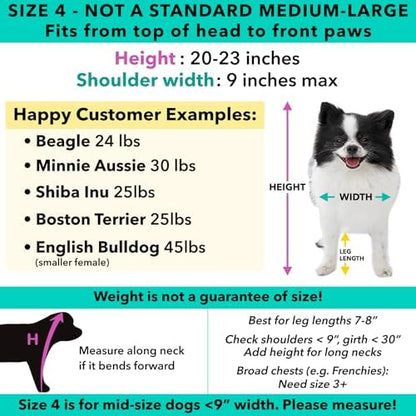 Pandaloon Dog Halloween Costume - As Seen on Shark Tank - Patented - Funny Costume with Arms for Small and Medium Dogs and Cats (Panda, Size 4(20-23 in Height at TOP of Head,Girth<27 in)) - Image 4