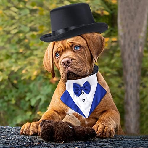 Yewong 2-Piece Pet Formal Accessories Set - Top Hat with Tuxedo Bandana Collar for Dog & Cat (Set-E) - Image 6