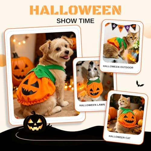 Dog Cat Halloween Pumpkin Costume Cute Festive Outfit for Small Dogs & Cats - Image 2