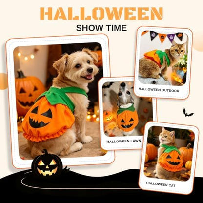 Dog Cat Halloween Pumpkin Costume Cute Festive Outfit for Small Dogs & Cats - Image 2