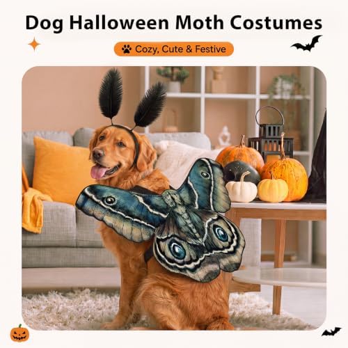 Tallew 2 Pcs Dog Halloween Costumes Moth Butterfly,L,Tan - Image 3