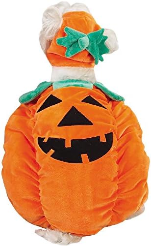 Zack & Zoey Pumpkin Pooch Dog Costume, Large, Orange by OOMCOMMERCE