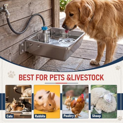 Mifoci Pre-Assembled 50 lb Automatic Dog Feeder & 1.6 Gal Water Bowl Set